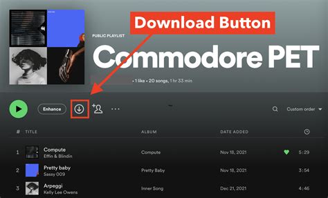 how to download music from spotify to phone