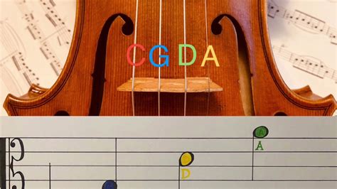 how to read viola sheet music and why the viola is often overlooked in classical music compositions