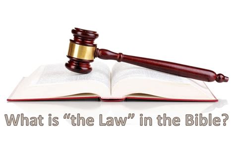 what are the books of law in the bible? how do they influence modern legal systems?